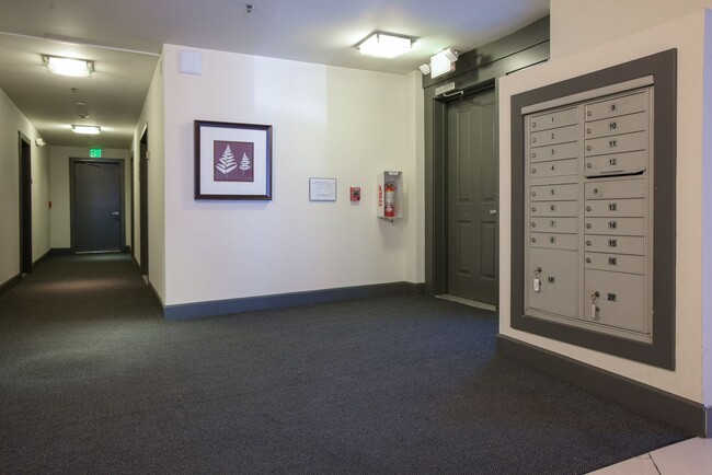 Building Photo - North Capital Hill owner offering move in special