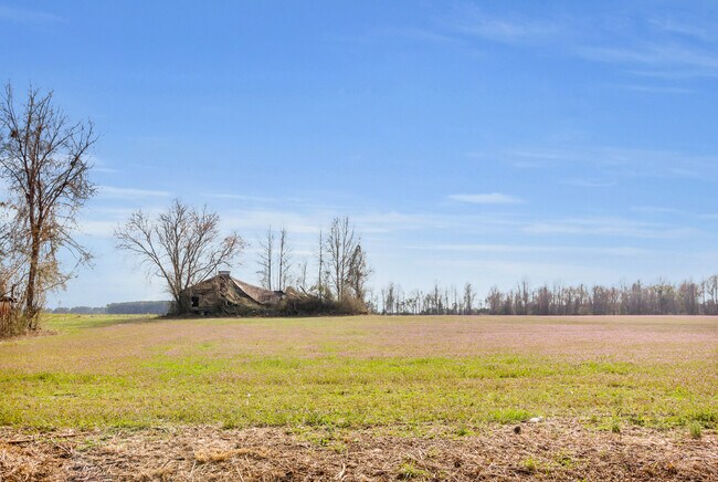 Building Photo - 801 NC-33