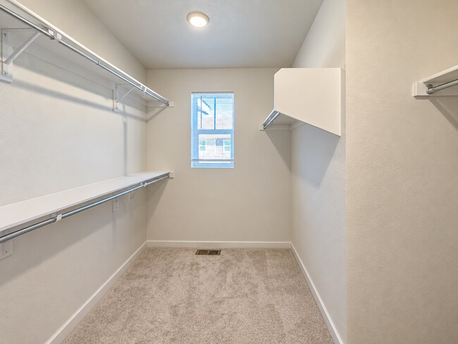 Building Photo - 9049 Bondcliff Ln