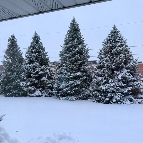 Building Photo - 821 Melbourne St