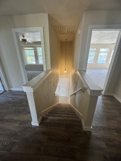 Building Photo - 20805 Trotters Ln