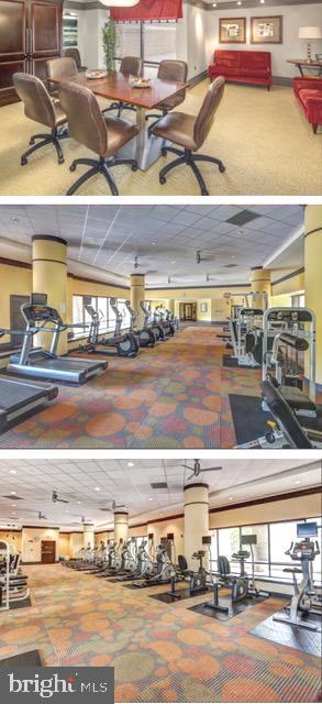 Building Photo - 4500 S Four Mile Run Dr