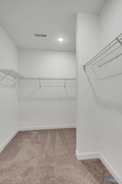 Building Photo - 147 Ivy Vine Dr