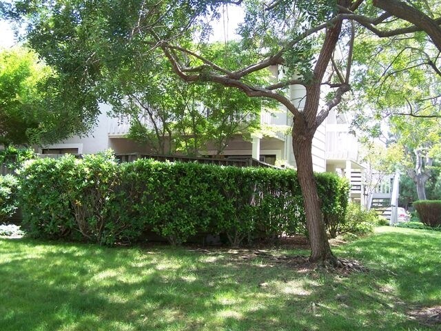 Backyard - 4977 Conway Terrace