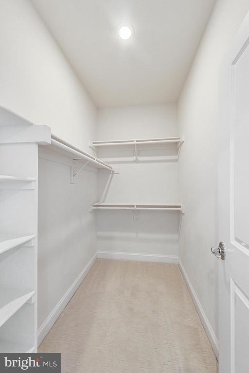 Building Photo - 10821 Symphony Park Dr