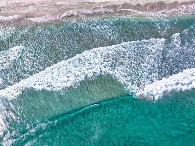 Building Photo - 501 N Ocean Blvd