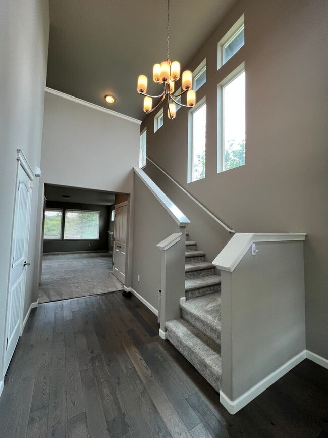 Building Photo - Quiet Luxury in a Forested Cul de Sac with...