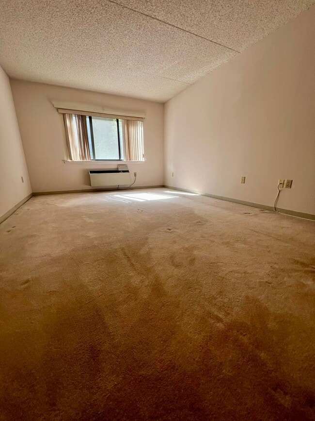 Building Photo - Gorgeous 2-Bedroom Condo at Crum Creek Valley Condominiums! Available NOW!