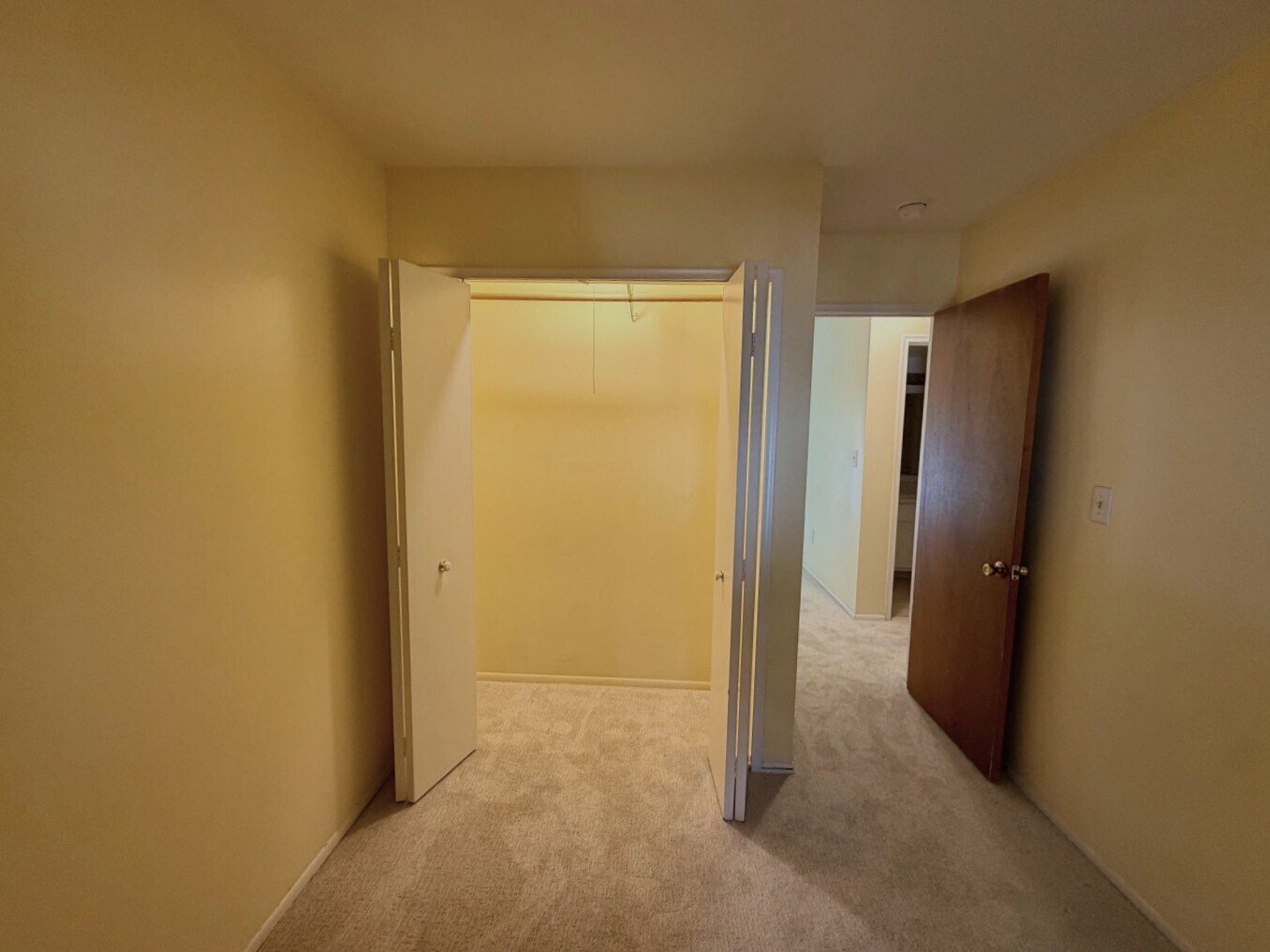 Second bedroom with new carpet in 2026 - 3234 Bolgos Cir