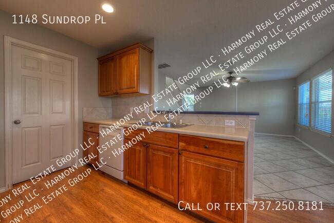 Building Photo - 1148 Sundrop Pl