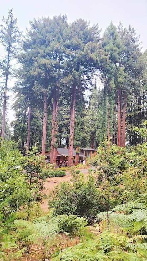 View of the whole house APT is lower part of the building - 244 McKee Rd