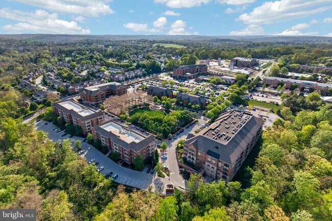 Building Photo - 443 Wharton Blvd