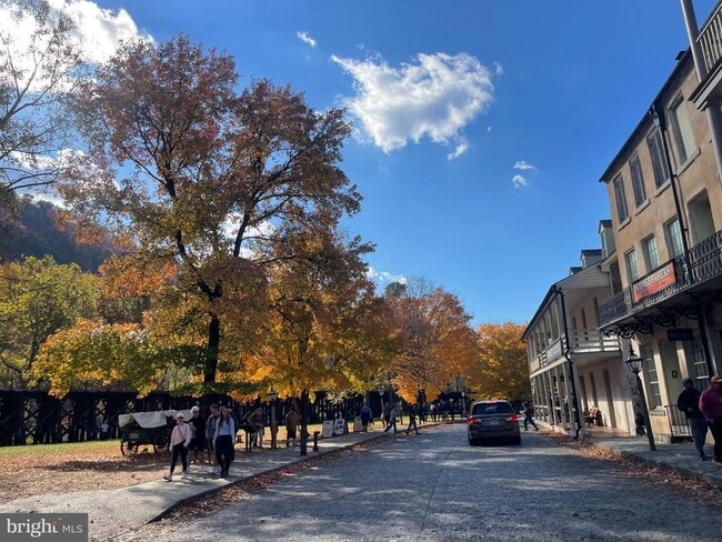 Building Photo - 19 Stonewall Ct