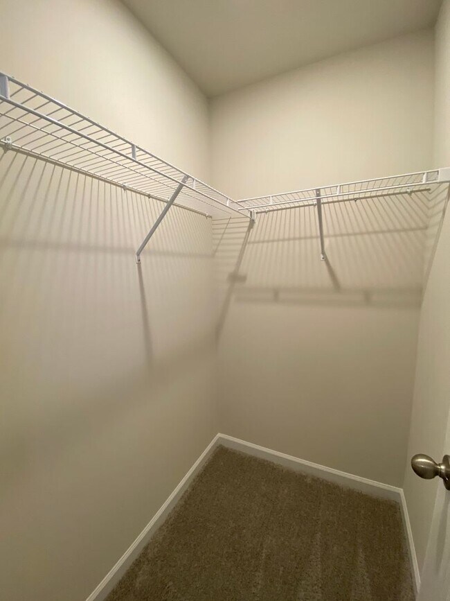 Building Photo - Brand New Beautiful 3 Bedroom 2.5 Bathroom