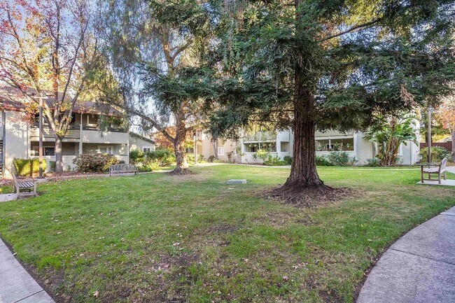 Building Photo - 1505 Kirker Pass Rd