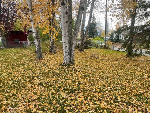 Building Photo - 4502 Klondike Court