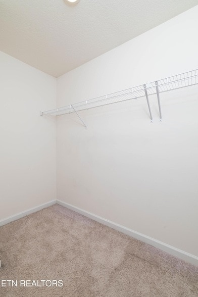 Building Photo - 228 Belle court