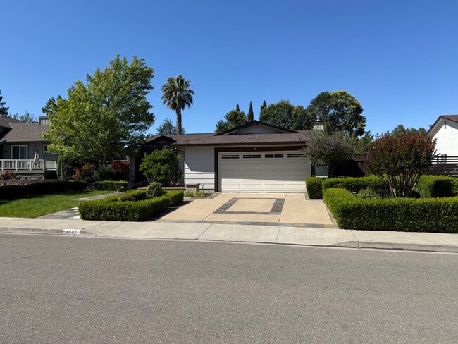 Building Photo - Stunning Fully Remodeled 4-Bedroom 2 Bathroom Home with Designer Kitchen & Spacious Open Layout i...