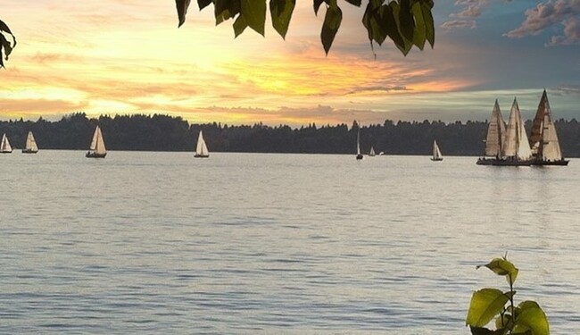 Sailboat Races on Lake Washington seen from Condominium - 6620 Lake Washington Blvd NE