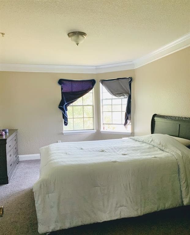 Building Photo - 7330 Westpointe Blvd