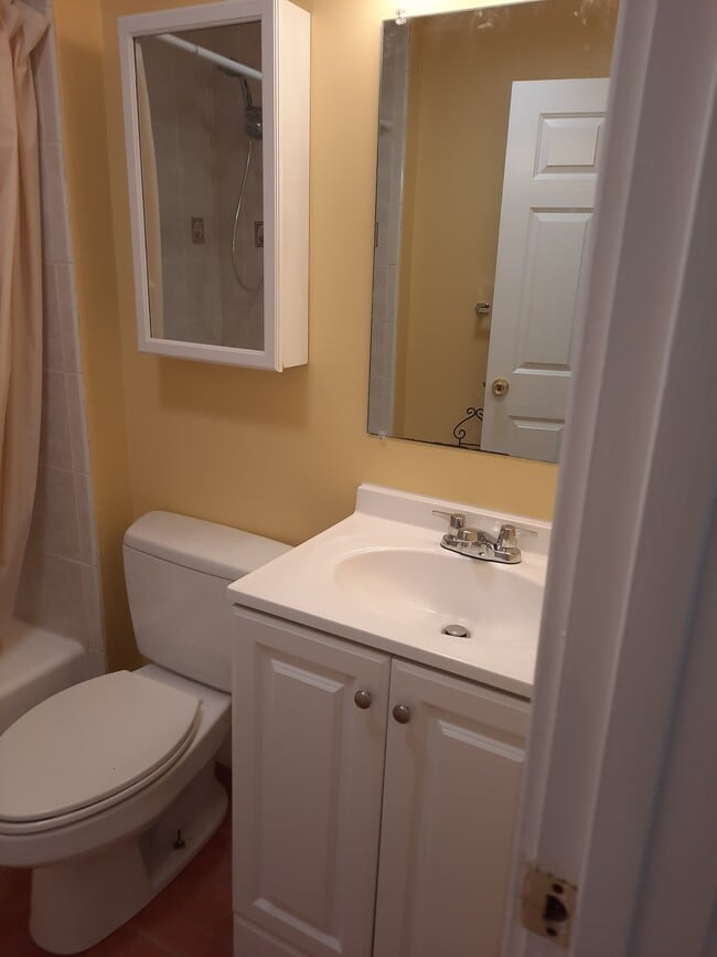 Bathroom 3 - 203 Essex St