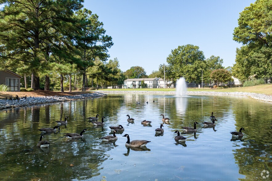 Sycamore Lake 2174 Westchester Dr Memphis TN 38134 Apartment Finder
