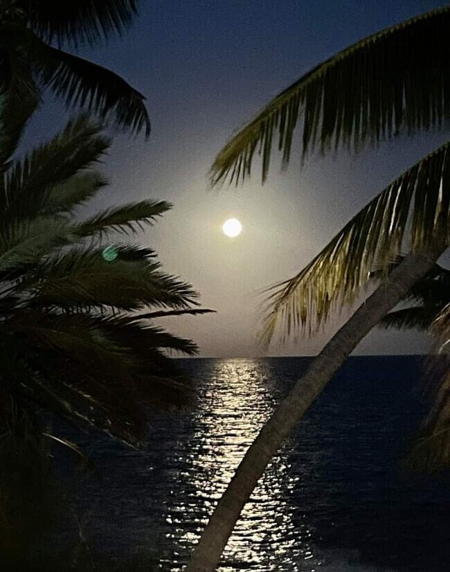 Moonrise - 159 Dubonnet Rd