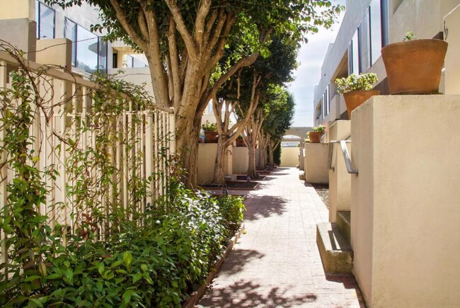 Interior Photo - 300 - 330 Parker Avenue in Rodeo