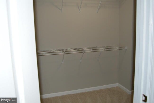 Building Photo - 4016 Timber Oak Trl