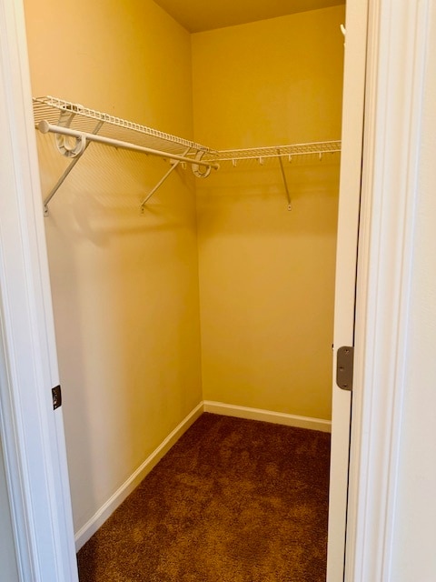 Building Photo - 863 Barclay Cir