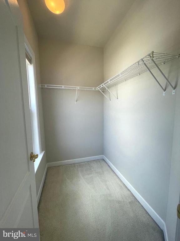 Building Photo - 11451 Fogarty Ct