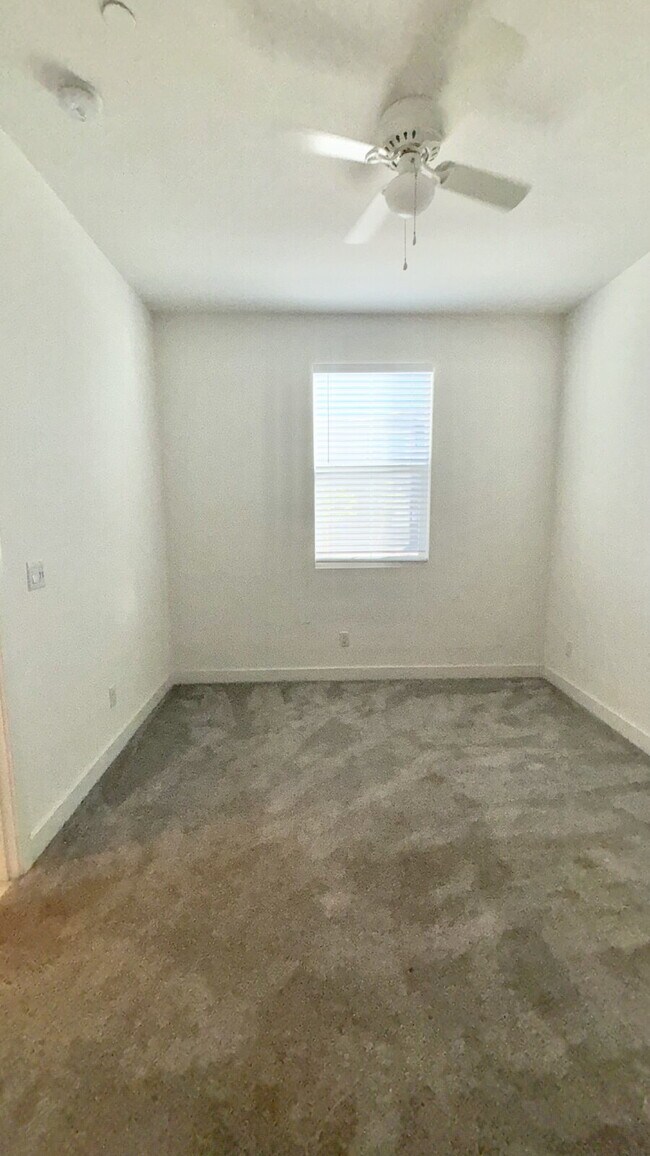 Building Photo - 4 Bedrooms Available University Park