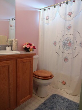 Upstairs Full Bath - 3857 Reeves Ln