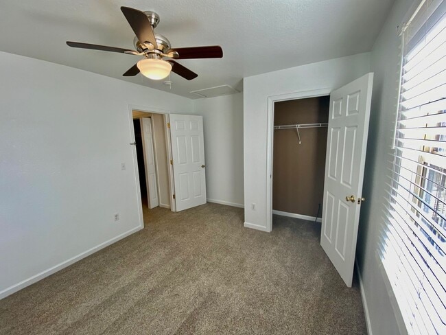 Building Photo - Candler - Two Bedroom updated apartment