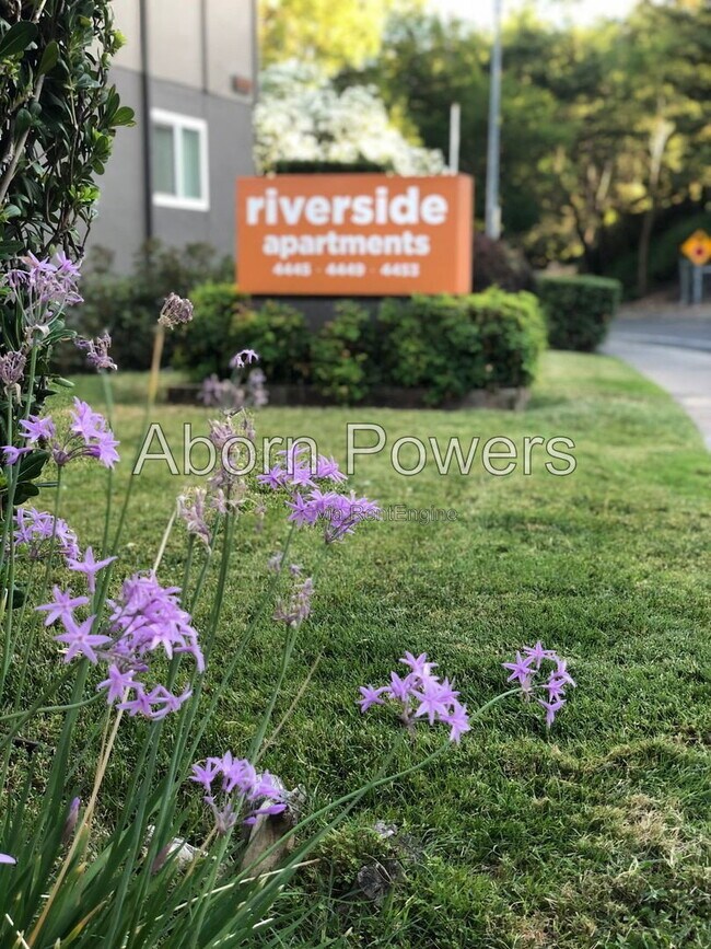 Building Photo - 6 Riverside Blvd