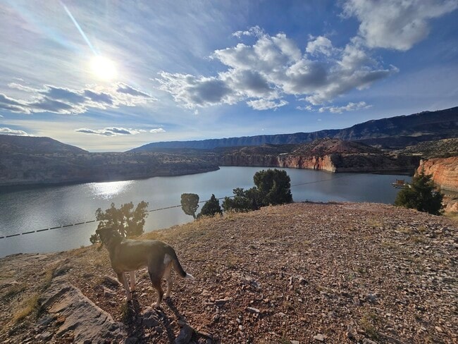 Building Photo - 1411 Richard Martin Dr