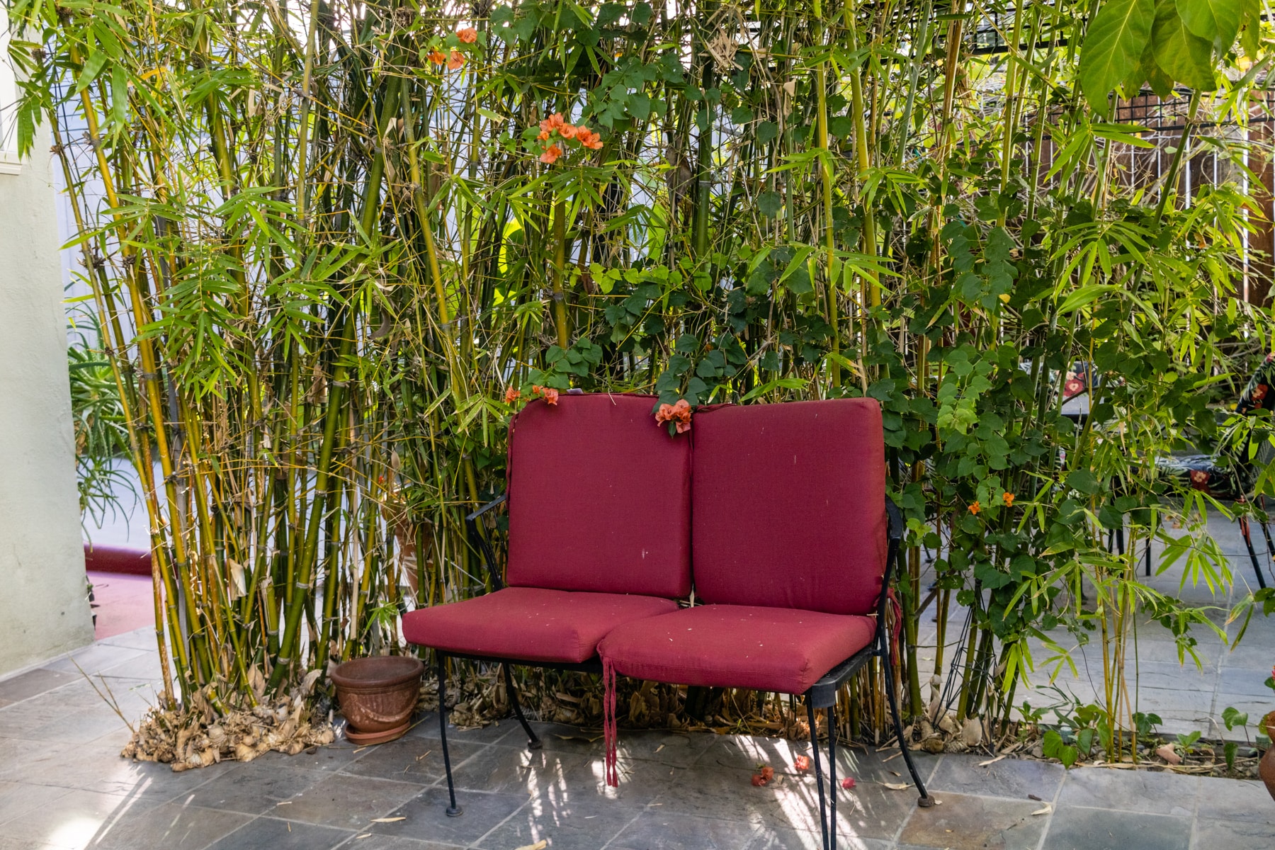 OUTDDOOR SEATING-BACKYARD - 1762 Vista Del Mar Ave