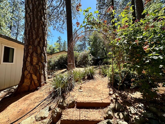 Building Photo - 3 Bedroom 2 Bathroom House in Desirable Al...