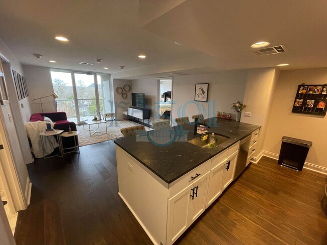 Building Photo - 2 BR 2 BA Luxury Condominium