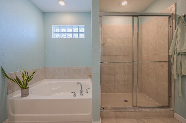 Building Photo - 2460 Timber Forest Dr