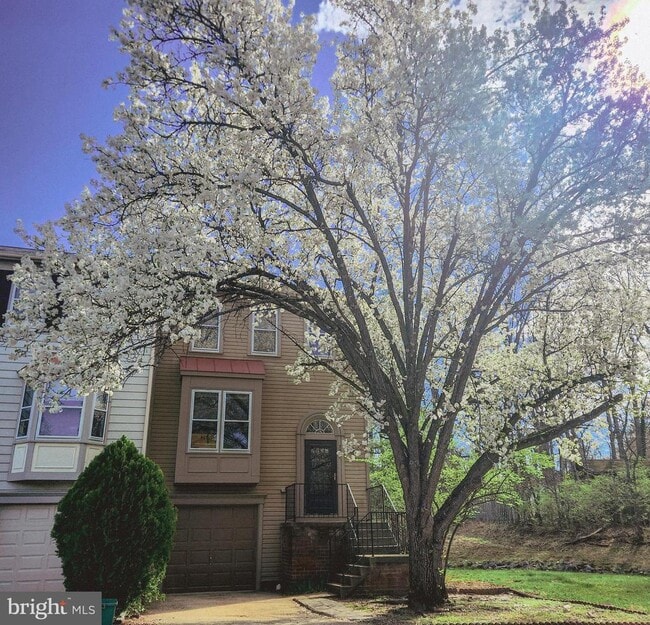 Building Photo - 7261 St Lucia Ct