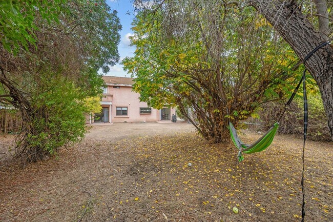 Building Photo - Spacious lot with no back house!