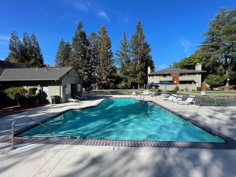 Pool - 2008 La Terrace Cir