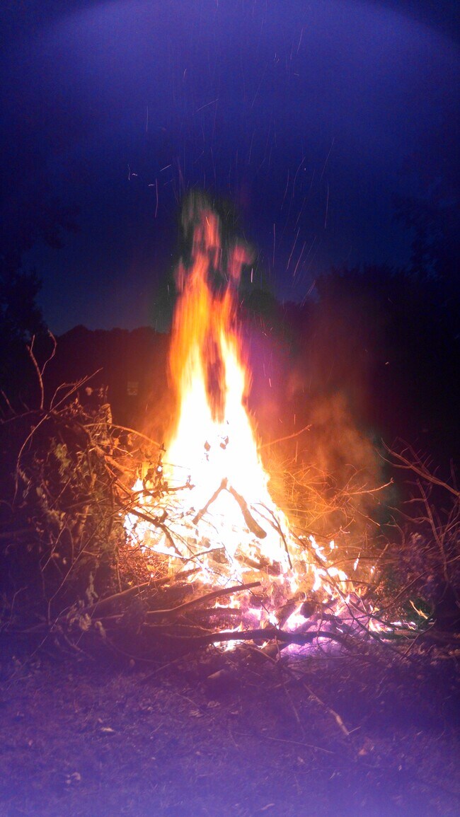 Campfire - 1016 Lakeview Dr