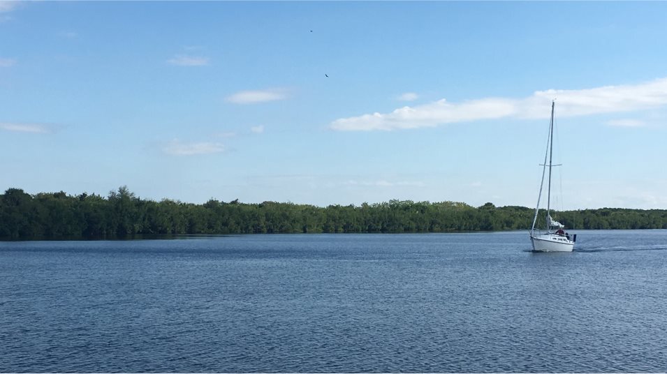 Freshwater sourced lake and canal system separates neighborhood from Harbor via a lock - 8006 Lakes Edge Ln