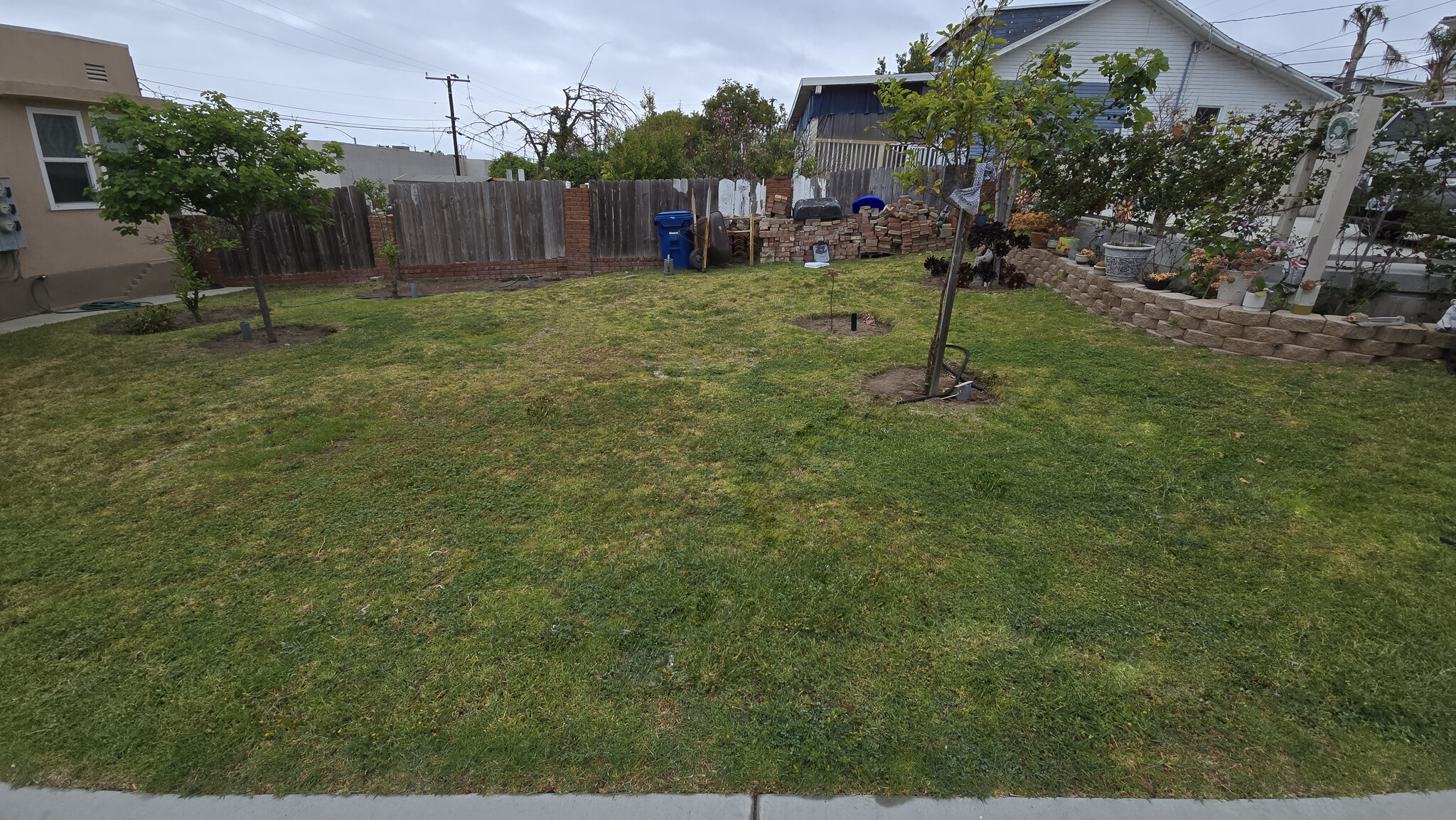 Backyard - 417 Ocean View Ave