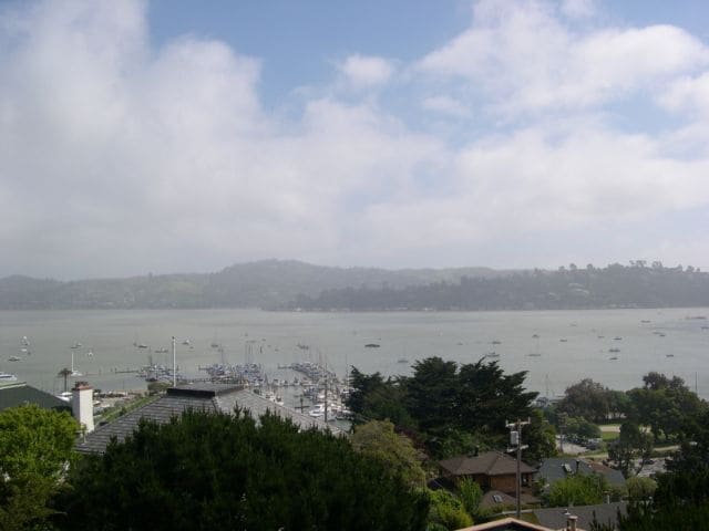 Building Photo - Sausalito Duplex with Expansive Views