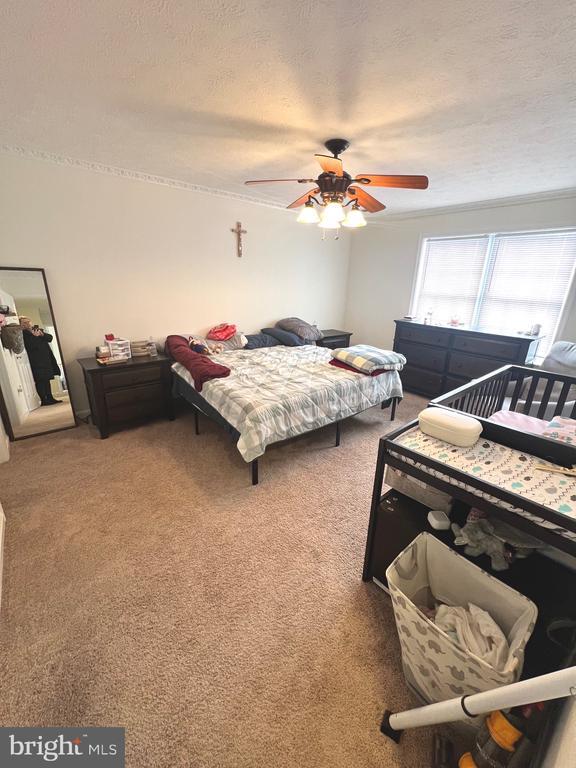 Building Photo - 2405 Gifhorn Ct