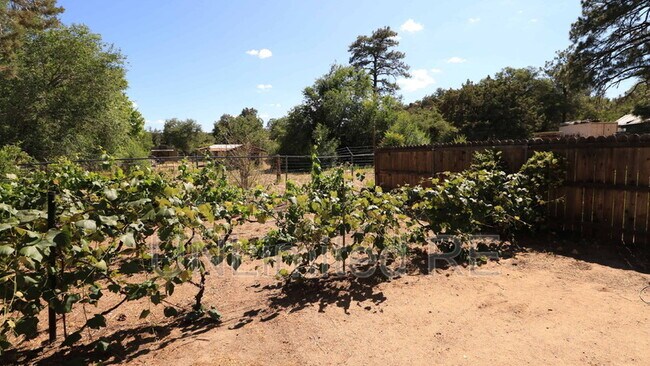 Building Photo - 1717 Cottonwood Ave