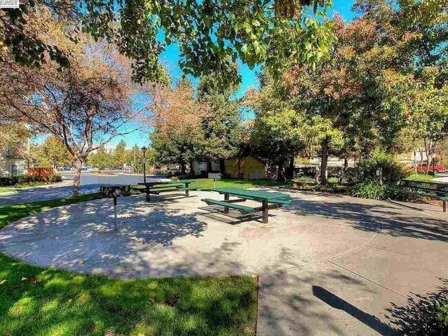 Building Photo - 4039 Ghiotti Ct